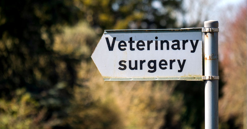 veterinary sign